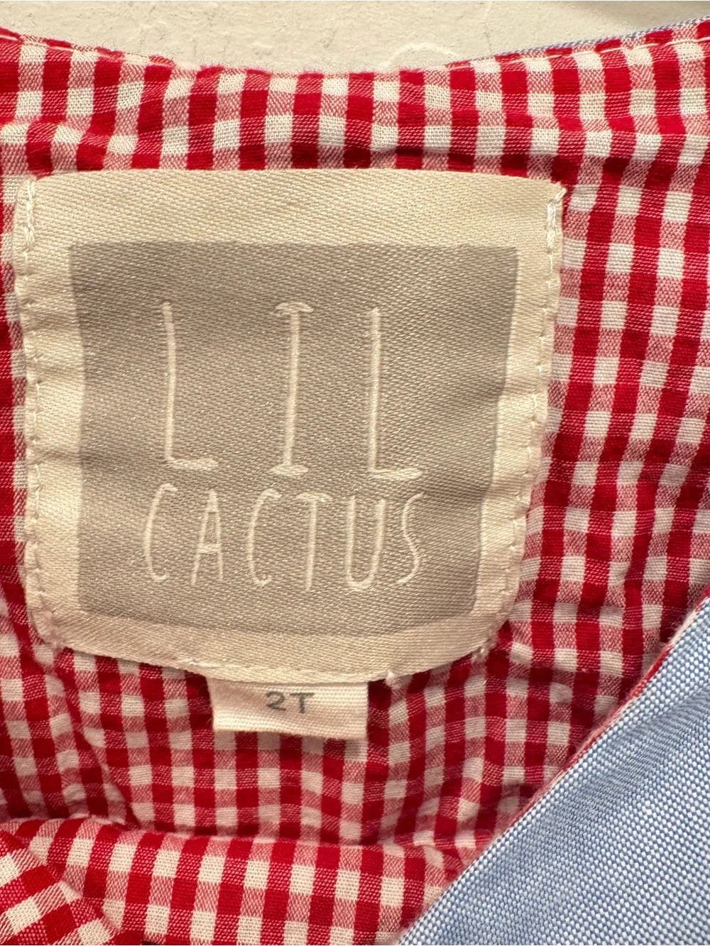 Lil Cactus lil cactus